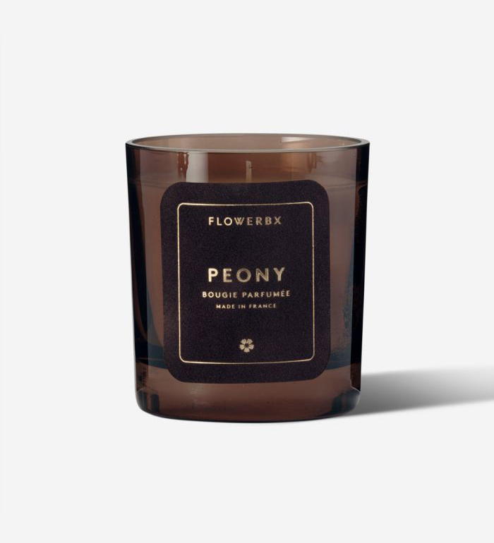 Colonial Candle Garden Peony 11 oz 2 Wick Candle, Red
