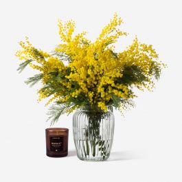 Mimosa Mimosa Flower Delivery London And Uk Flowerbx Uk