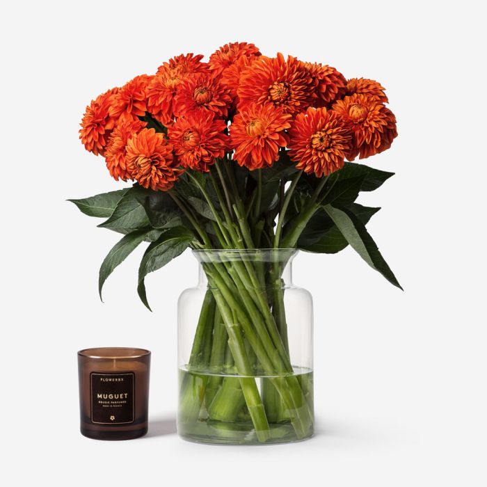 Burnt Orange Dahlia | Flowers | FLOWERBX