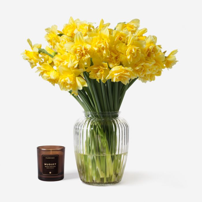 Can you mix daffodils with other flowers in a vase Royal Windsor Daffodil Vase Set Flowers In A Vase Flwoerbx
