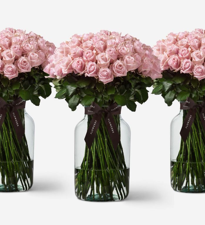 1000 Pink Sweet Avalanche Roses Vase set