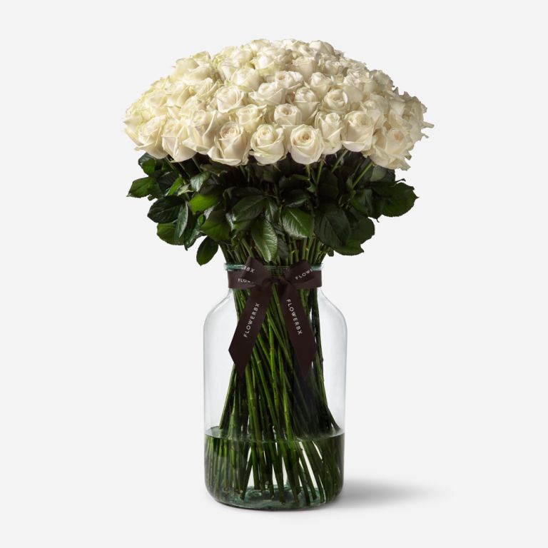 100 Ivory Avalanche Rose Stems in a Large Apothecary Vase