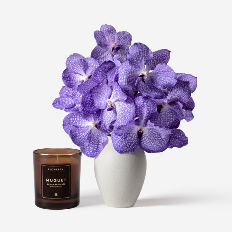 Vase set Amethyst Vanda Cut Orchid and Petit Mayfair Blanc 