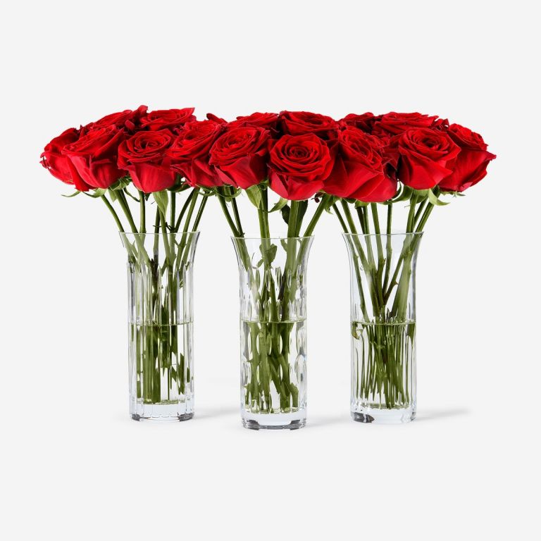 Trio Baccarat Red Naomi Rose Vase Set