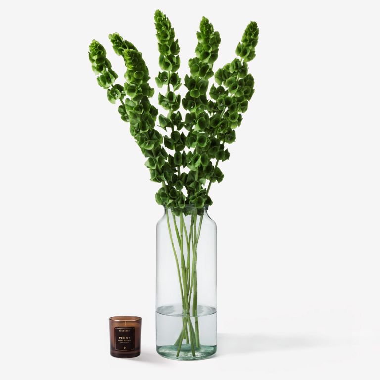 10 stems in a vase