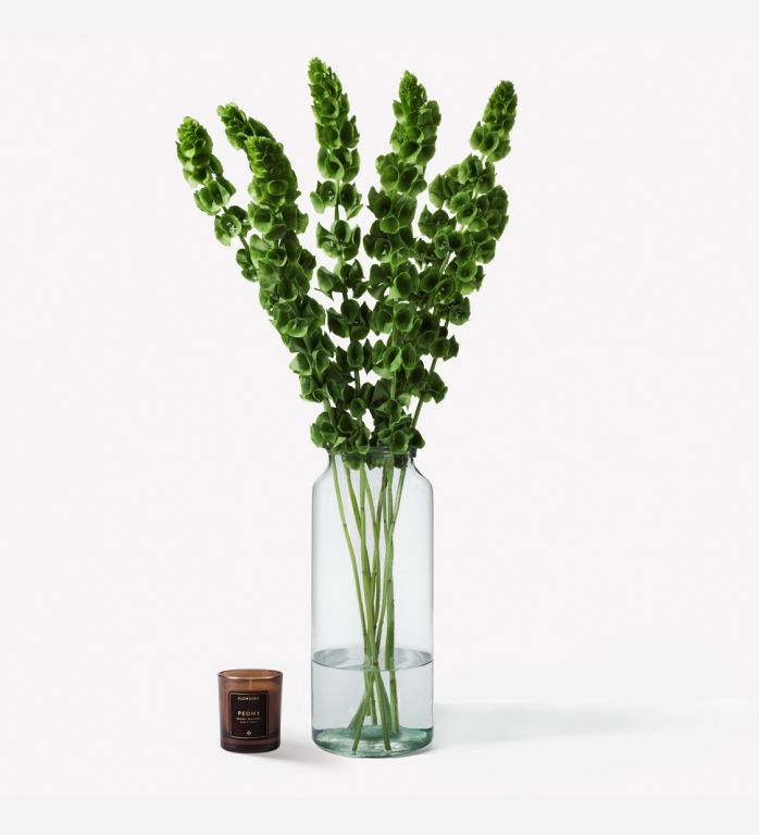 10 Stems in Tall Apothecary Vase