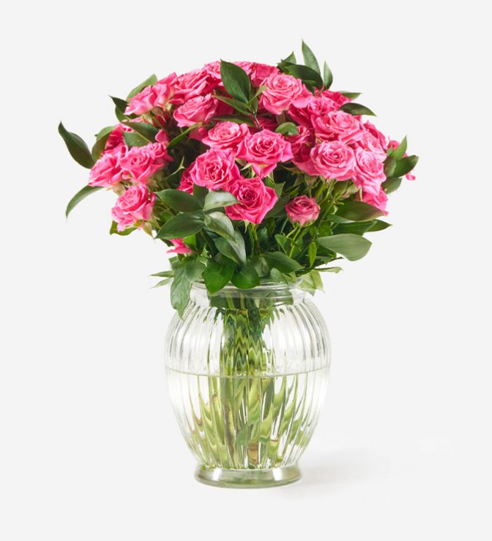 Hot Pink - Classic in a Royal Windsor Vase