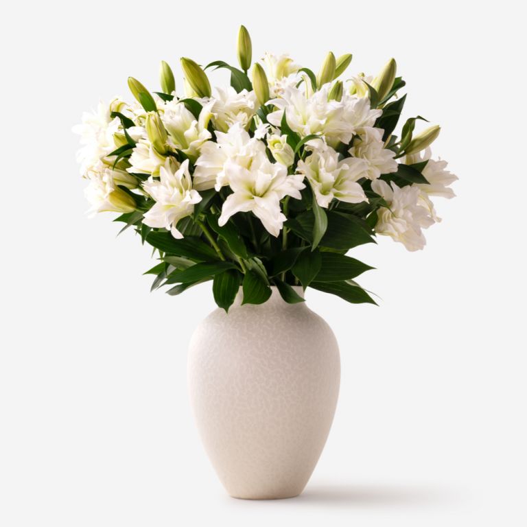 10 stems in a Large Mayfair Blanc Vase