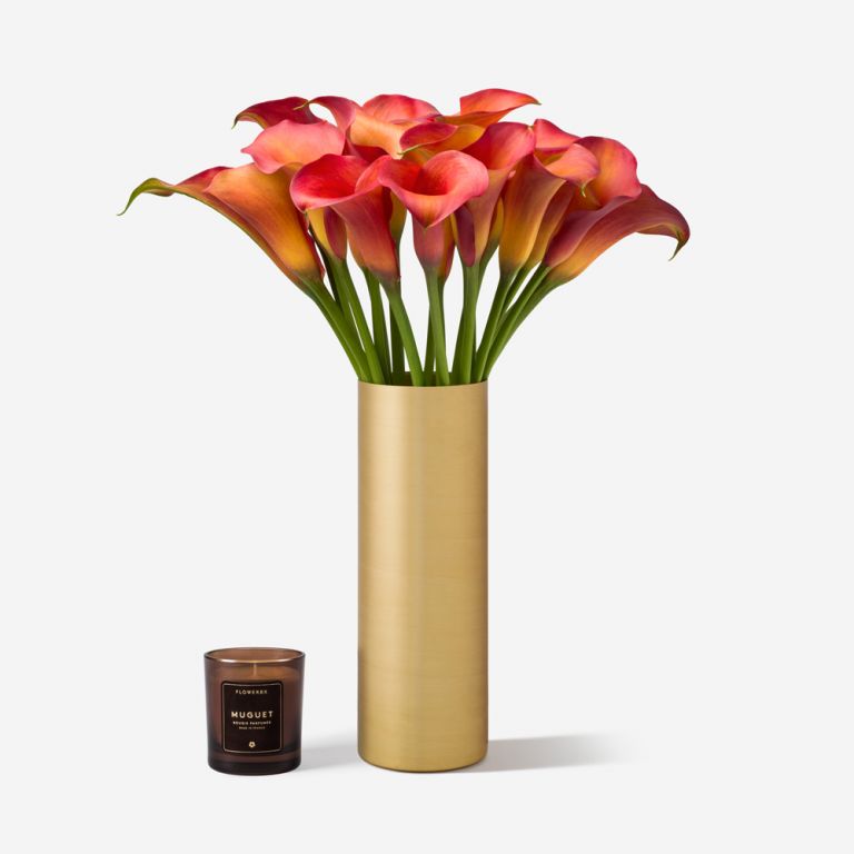 Burnt Amber Calla Lily in a Tall Wickstead vase 