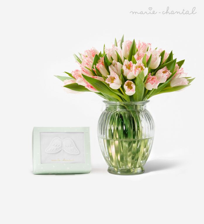 Bailey Bud Vase Collection, Vases, Certified B Corp