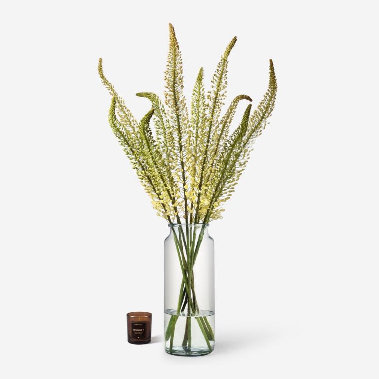 10 stems in a Tall Apothecary vase