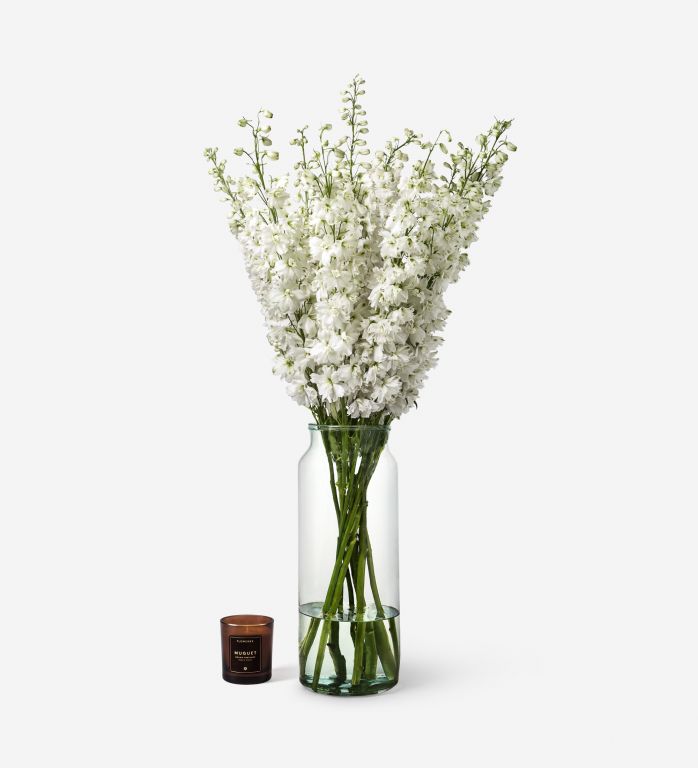 10 Stems in a Tall Apothecary Vase