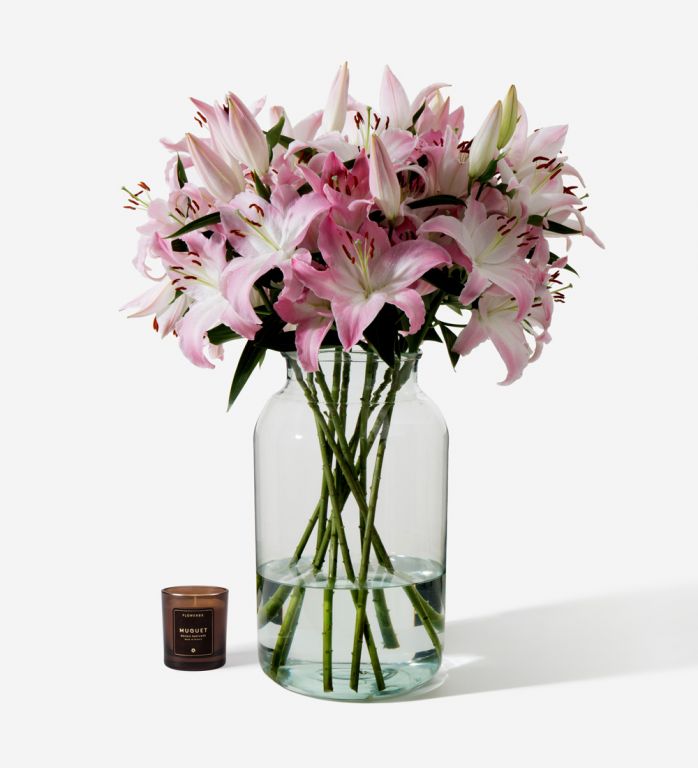 Sorbonne Pink Long-Stem Deluxe Lily