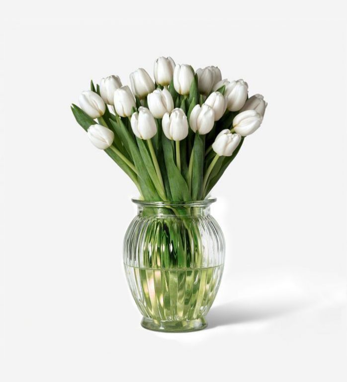 White Hot Dutch Tulip in a Royal Windsor Vase