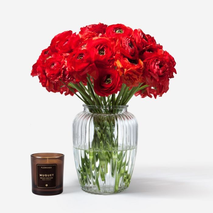 Vase Set Red Velvet Italian Ranunculus