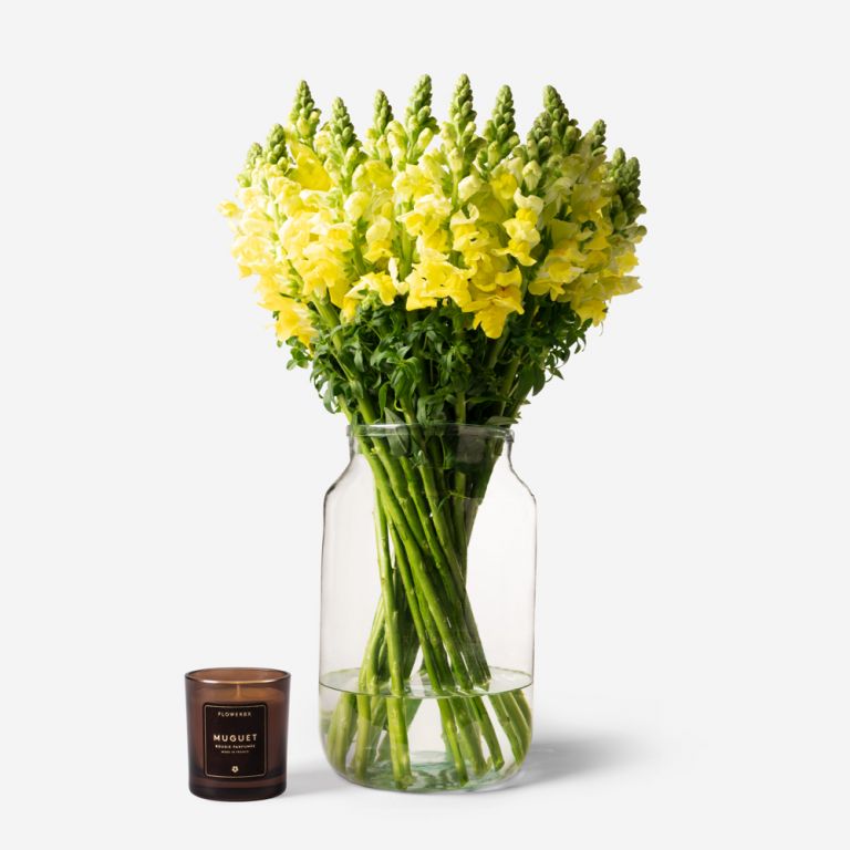 20 stems in a Medium Apothecary vase