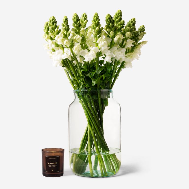 20 stems in a Medium Apothecary vase