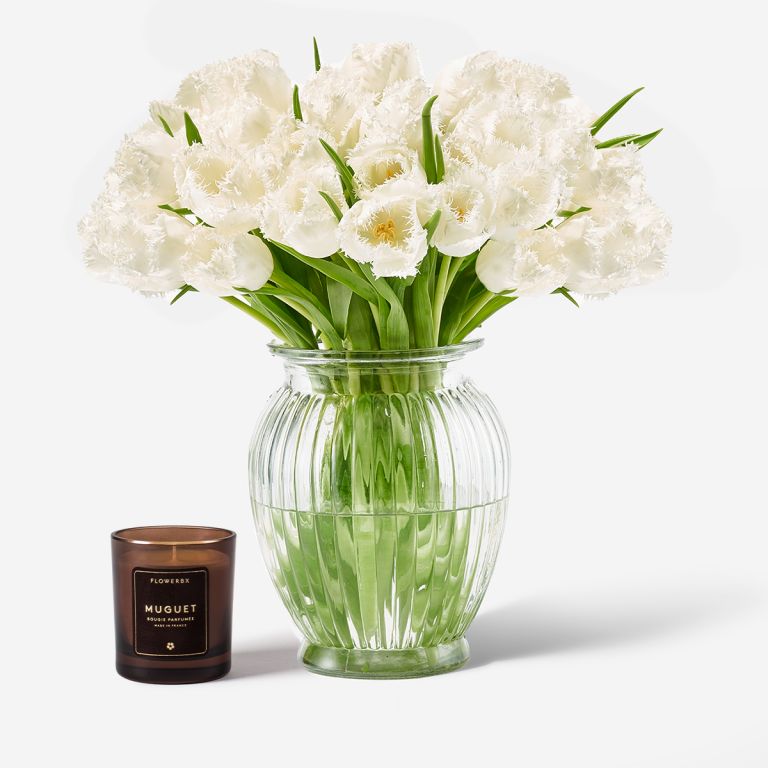 White Fringe Tulip in a Royal Windsor Vase