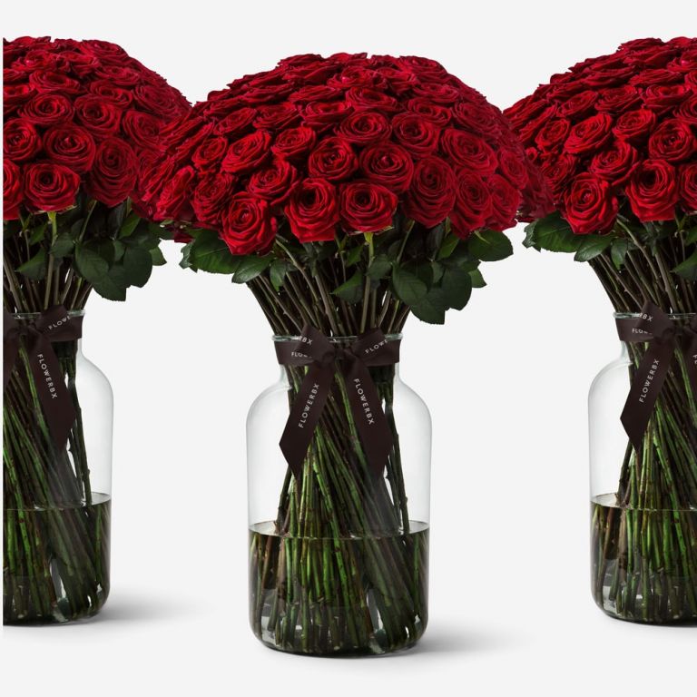 100 Roses in Large Apothecary Vase