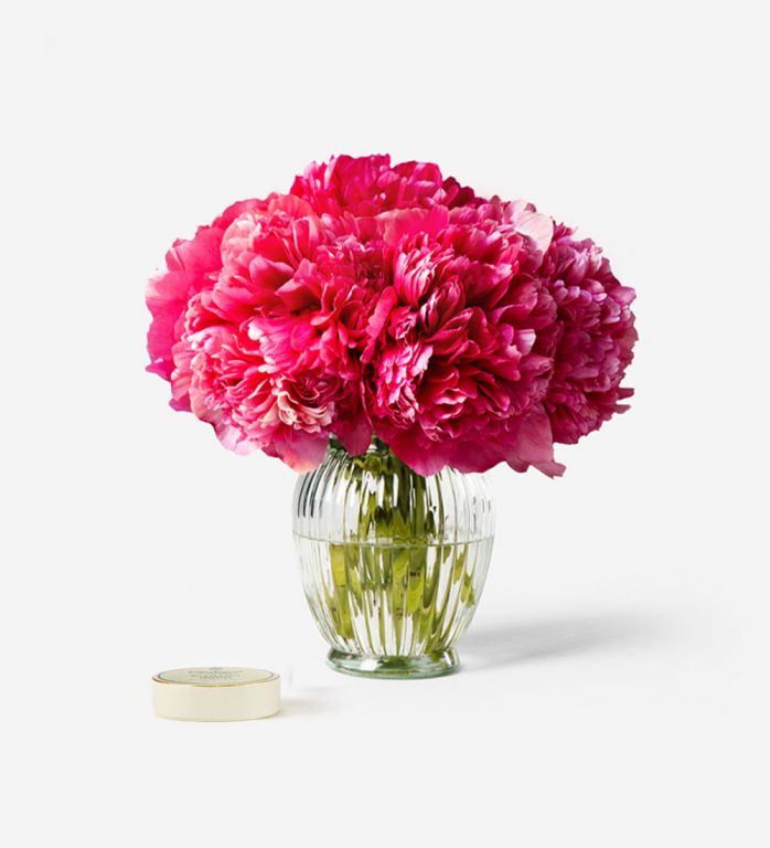10 Stems of Framboise Peony in a Royal Windsor Vase - Please note the Vase is not included