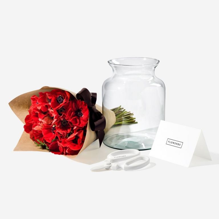 Anemone Gift Set