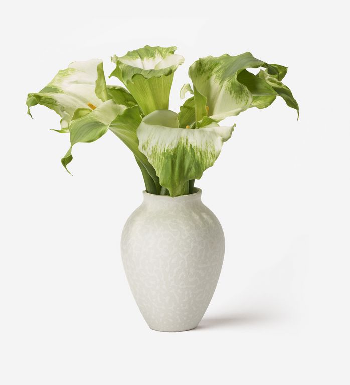 10 Stems in a Medium Mayfair Blanc Vase