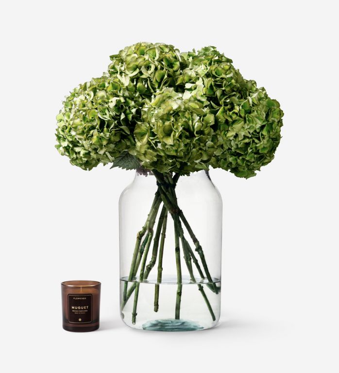 10 Stems in a Large Apothecary Vase
