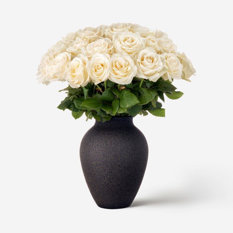 30 Ivory Avalanche Rose Stems in a Medium Mayfair Vase