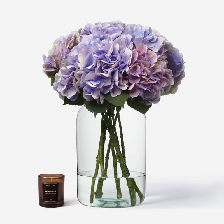 Hydrangea Lover Flowers Gift Set