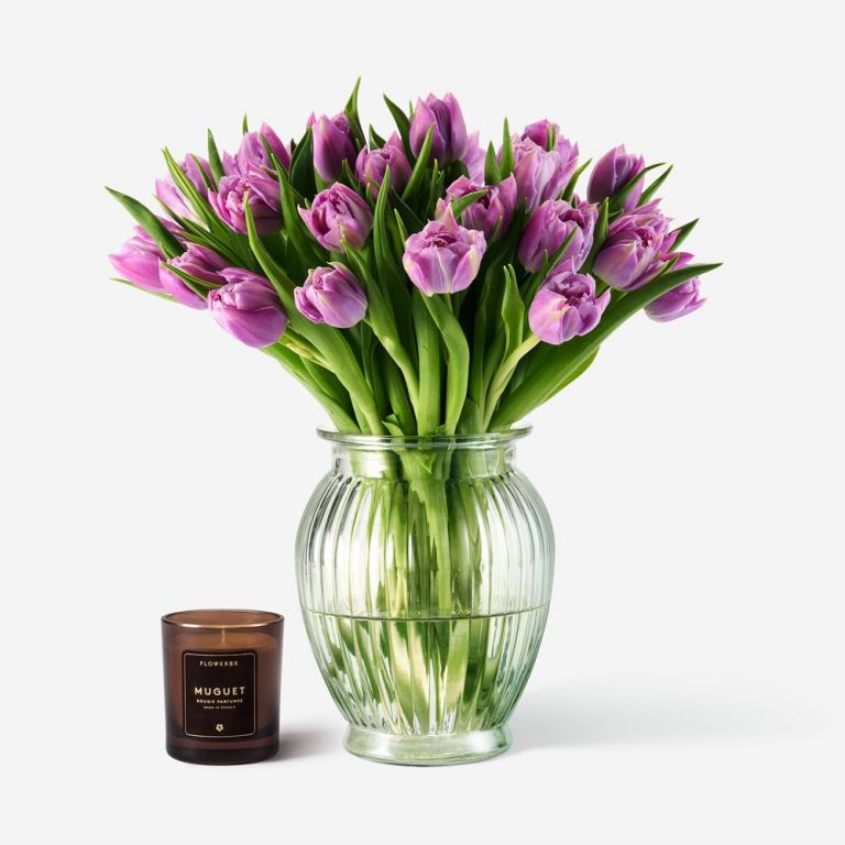 Tulip and Candle Gift Set