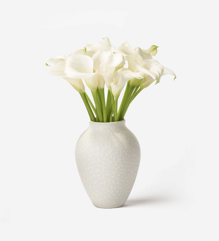 20 Stems in a Small Mayfair Blanc Vase