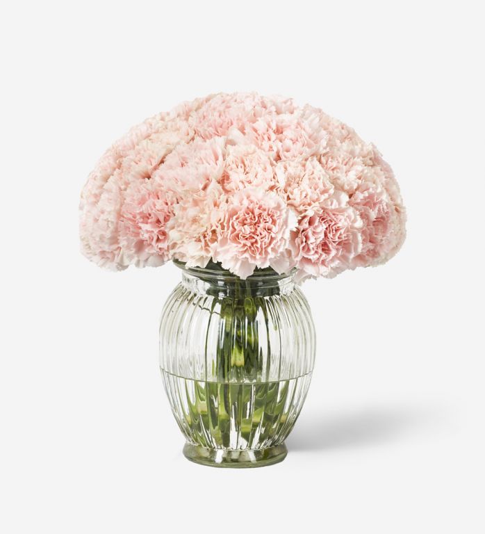 Carnation Vase Set