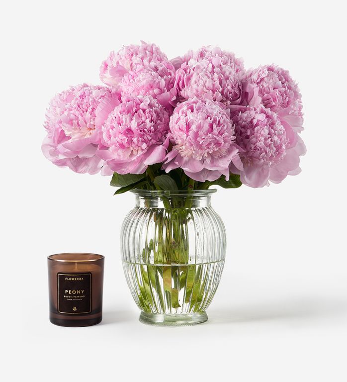 10 stems of Angel Cheeks Peonies in a Royal Windsor Vase and a Peony Candle