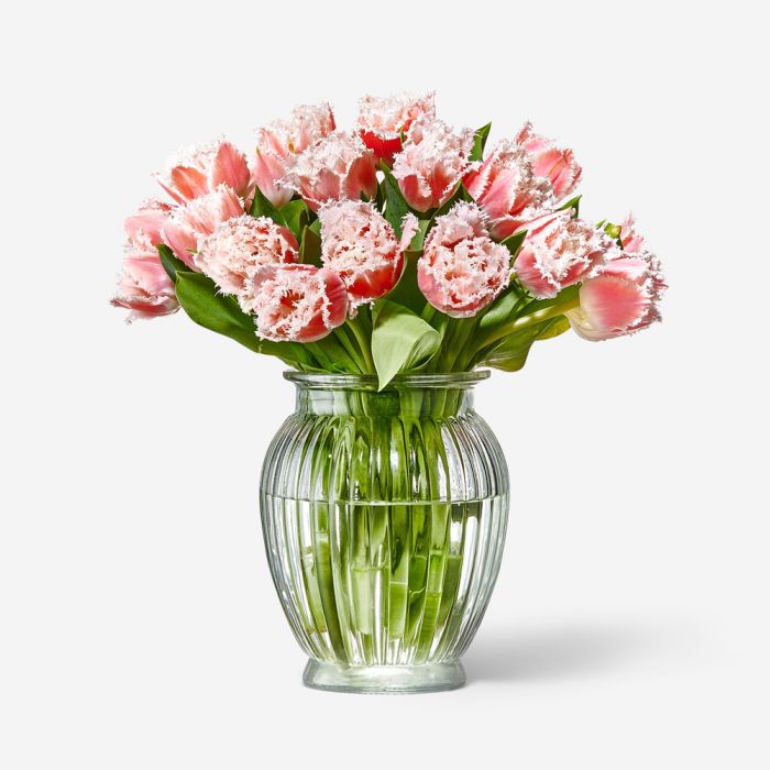 Pink Fringe Tulip in a Royal Windsor Vase
