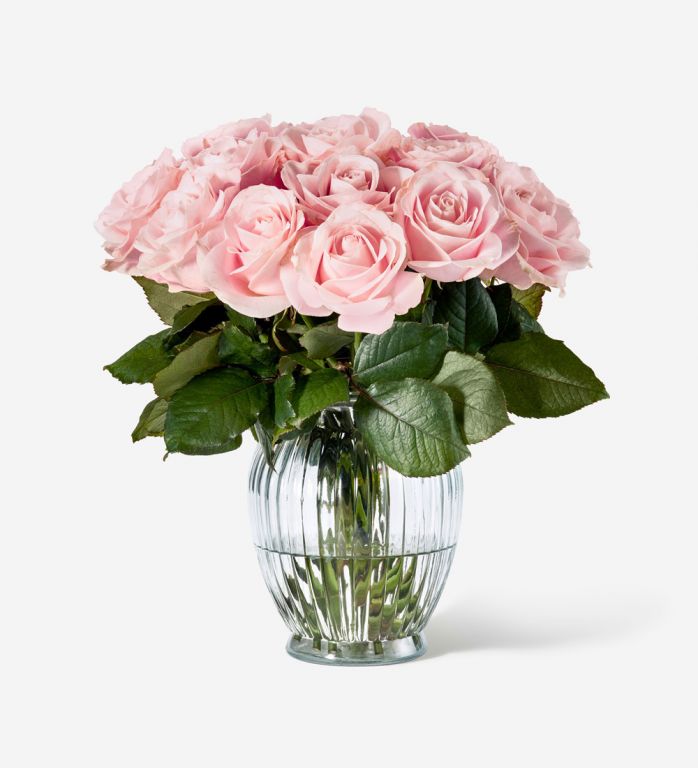 Pink Sweet Avalanche Roses in a Royal Windsor Vase