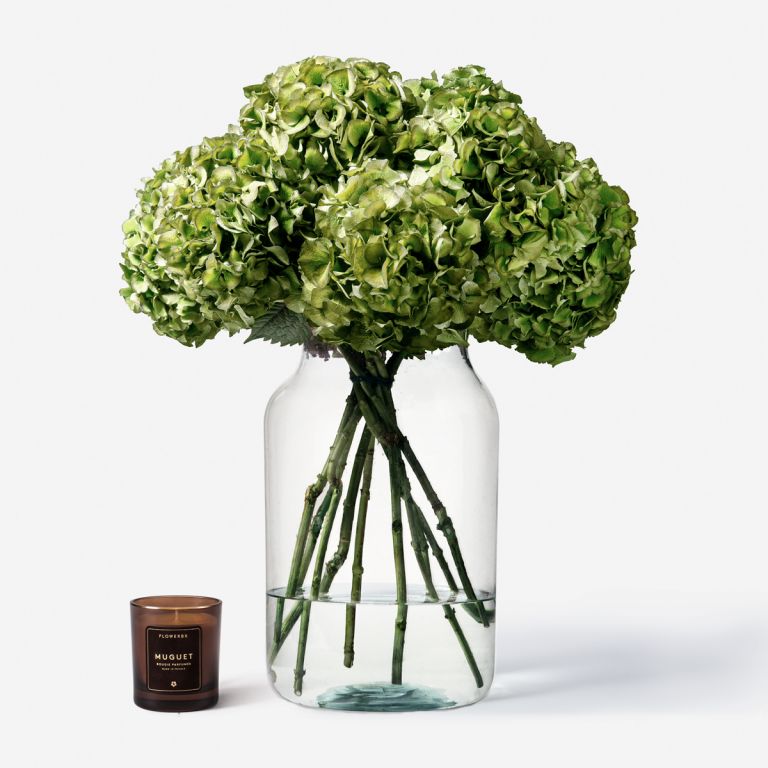 10 stems in a Large Apothecary vase