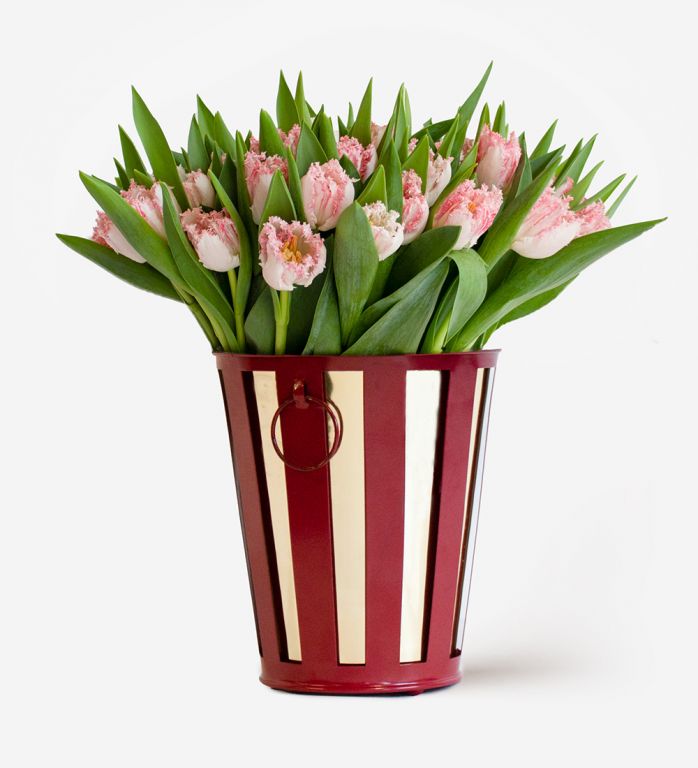 50 Stems of Coral Crush Fringed Tulips in the Dark Red Planter