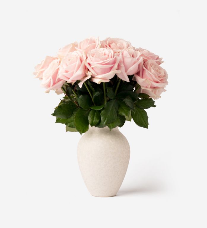 Roses and Luxury Vase Set - Pink Sweet Avalanche Roses & Small Mayfair Vase in Blanc