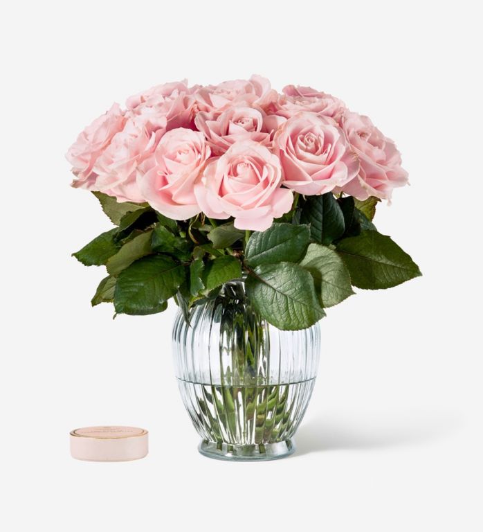20 Stems of Pink Sweet Avalanche Roses & Pink Champagne Chocolate Truffles - Please Note Vase is Not Included