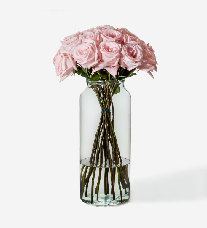 Powder Pink Rose, Flowers, Certified B Corp