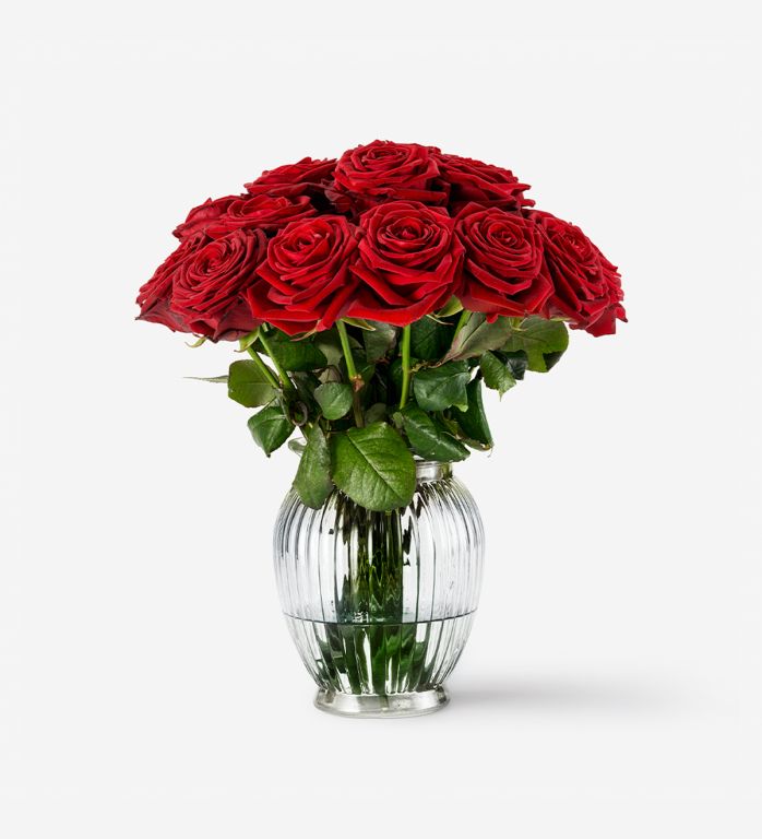 Royal Windsor Rose Vase Set - Red Naomi