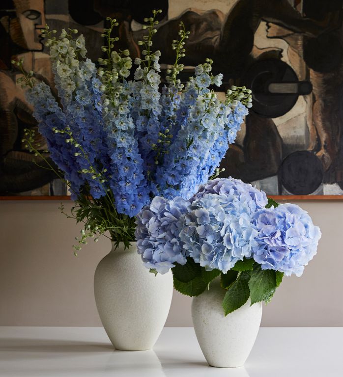 Periwinkle Delphinium, Blue Delphinium Flowers Bouquet, Certified B Corp