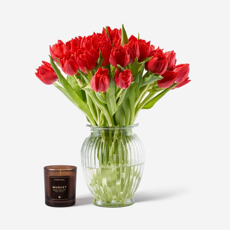 Scarlet Double Tulip in a Royal Windsor Vase