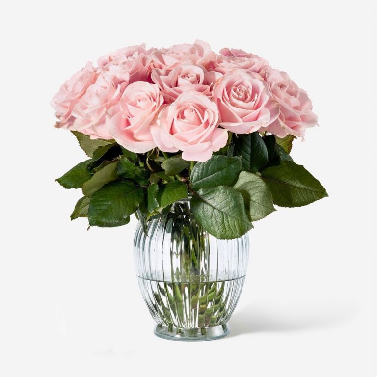 20 Pink Sweet Avalanche Rose Stems in a Medium Curve Windsor Vase