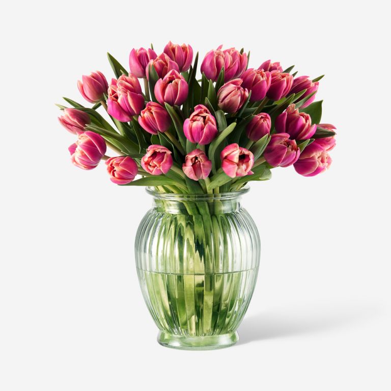 Siren Pink Double Tulip in a Royal Windsor Vase