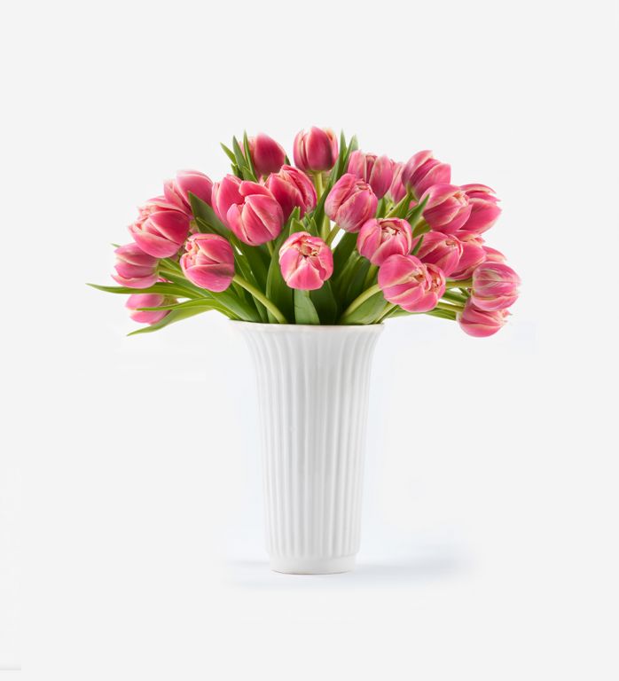 25 Stems of Siren Pink Double Tulip in a 12cm Glazed White Fluted Vase