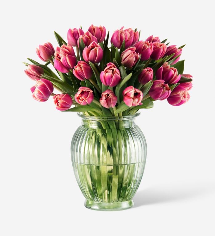 25 Stems of Siren Pink Double Tulip in a Royal Windsor Vase