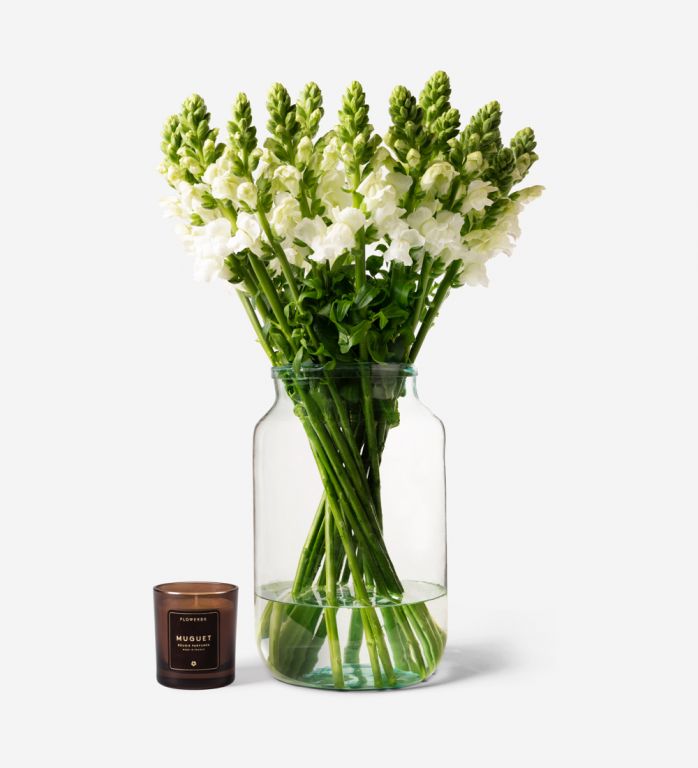 Vase Set Snazzy White Snapdragon 