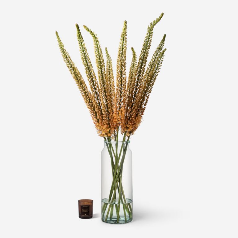 10 stems in a Tall Apothecary vase