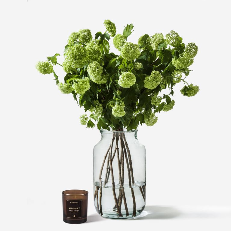 10 stems in a medium apothecary vase